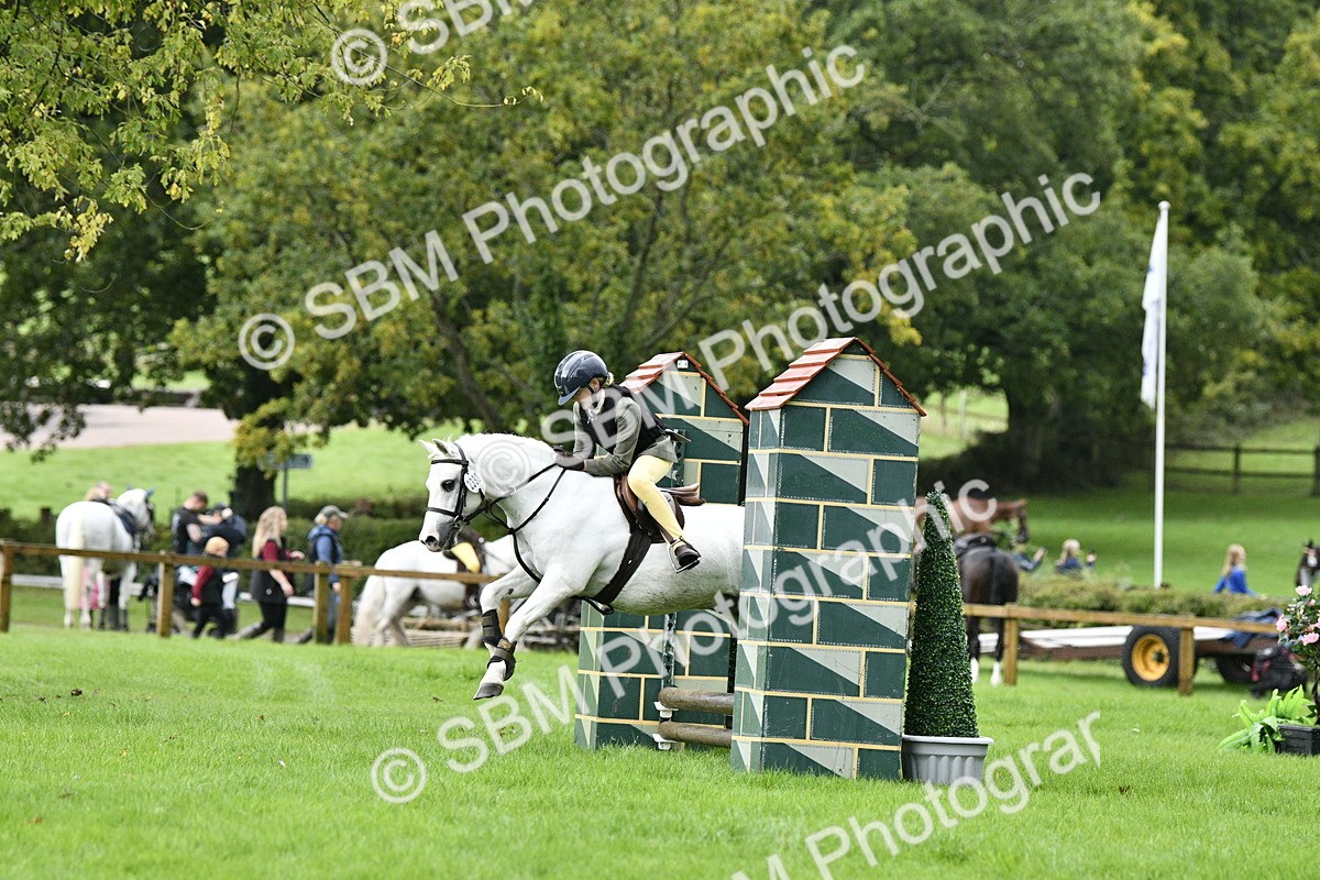 SBM_35475 - S30 - Nursery Stakes Working Hunter Pony