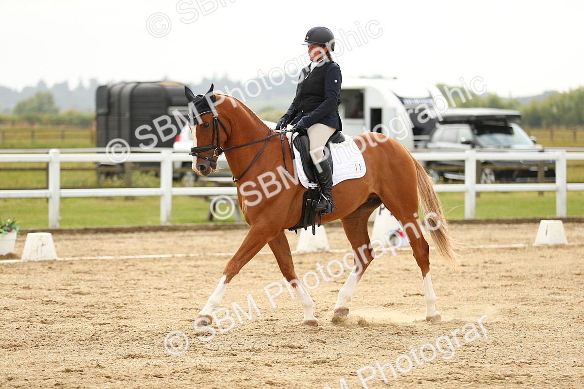SBM_017710 - Class 13 - Novice 23 - 14.27-15.16
