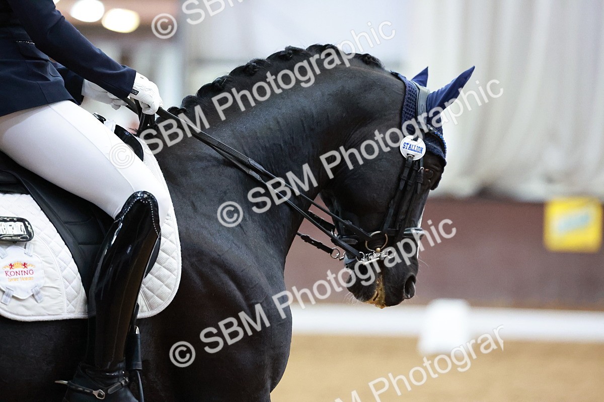 SBM_003909 - Class 1 - M5