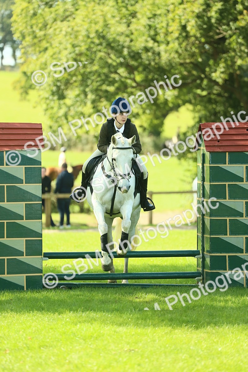 SBM_39281 - S29 - Novice & Newcomers Working Hunter Pony