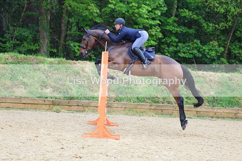 3E7A7480 - Class 8: Senior Foxhunter/1.20 open