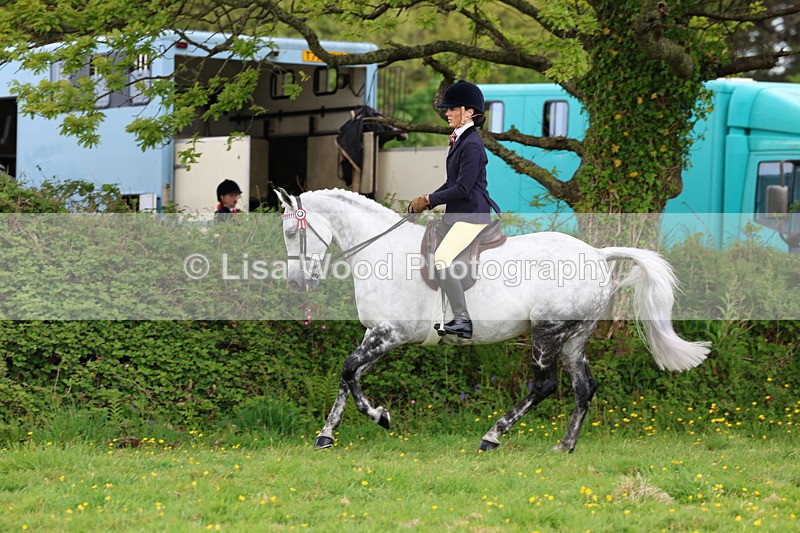 3E7A2111 - Class 11: Ridden Arab