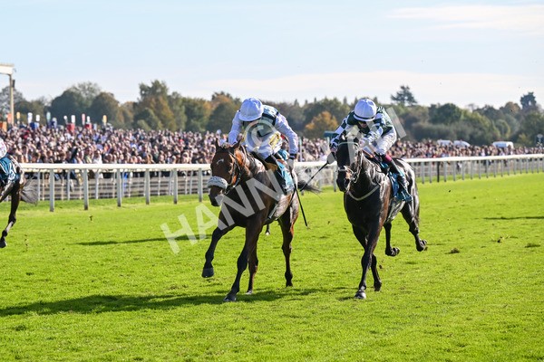 111025-Race 3-Laazm-8597 - Race 3 Coral 'Daily Reward Shaker' For Free Nursery Handicap at York