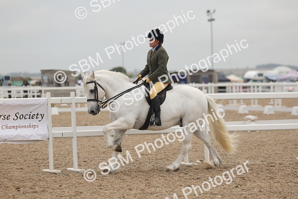 SBM_01922 - Class 14 - Ridden M&M Wildcard