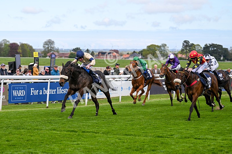 240425-Race 1-Tropical Dreamer-0907 - Race 1