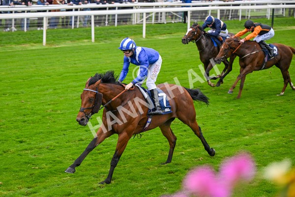101025-Race 3-Mukhtalif-6435 - Race 3 William Hill Each Way Extra Handicap at York