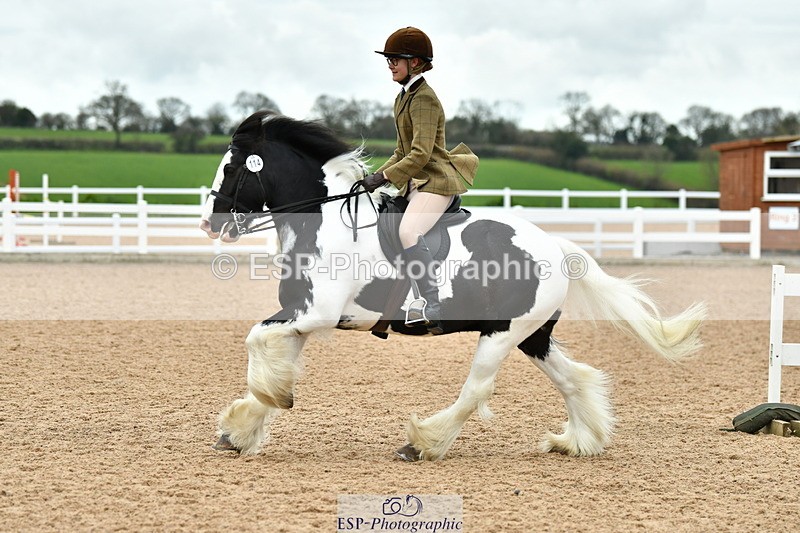 230416A-115605-04251 - Cls 72+73+69 Welsh, Trad Cob and Foreign