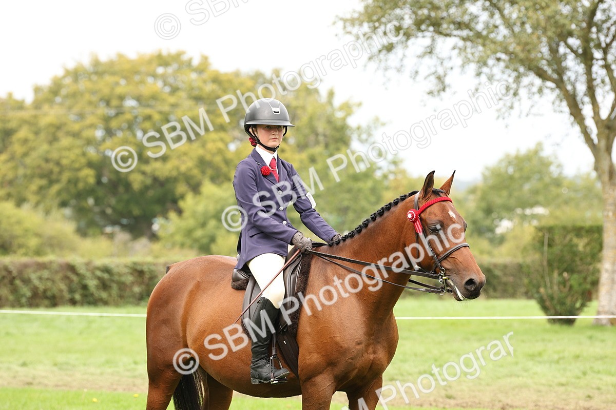 SBM_64283 - S65 - Riding Horse & Hack & Thoroughbred Ridden