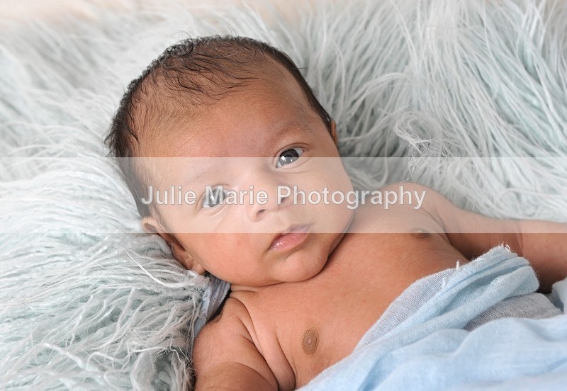 DSC_0953 - Taran