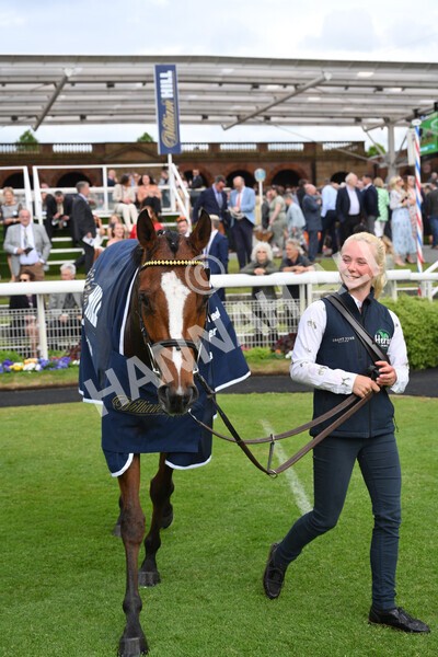 yr21052022r3-36 - Race 3: 3:30pm William Hill Best Odds Guaranteed Stakes