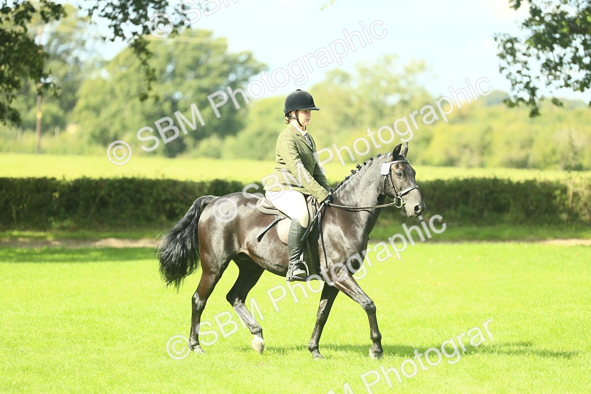 SBM_42055 - S29 - Novice & Newcomers Working Hunter Pony