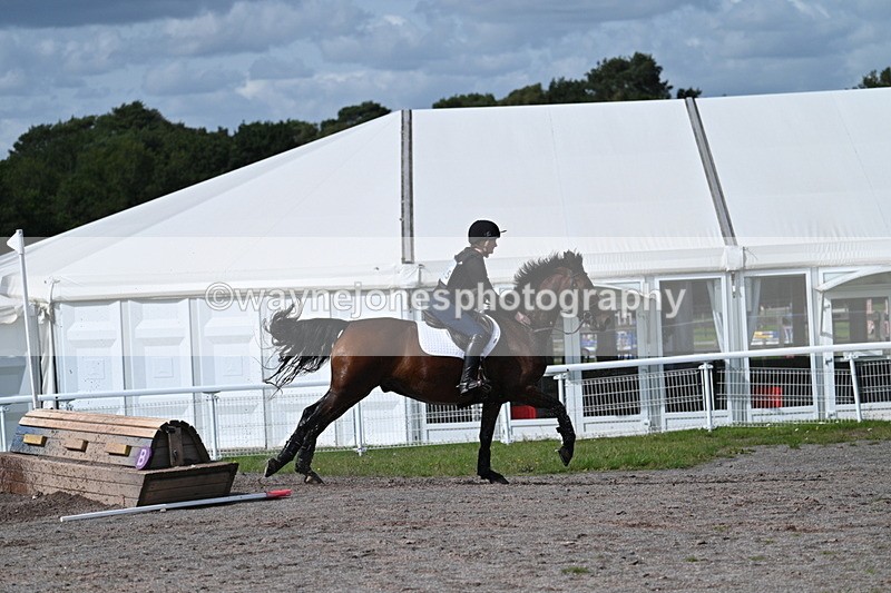 WJ7_1967 - Time 13:17 to 13:53