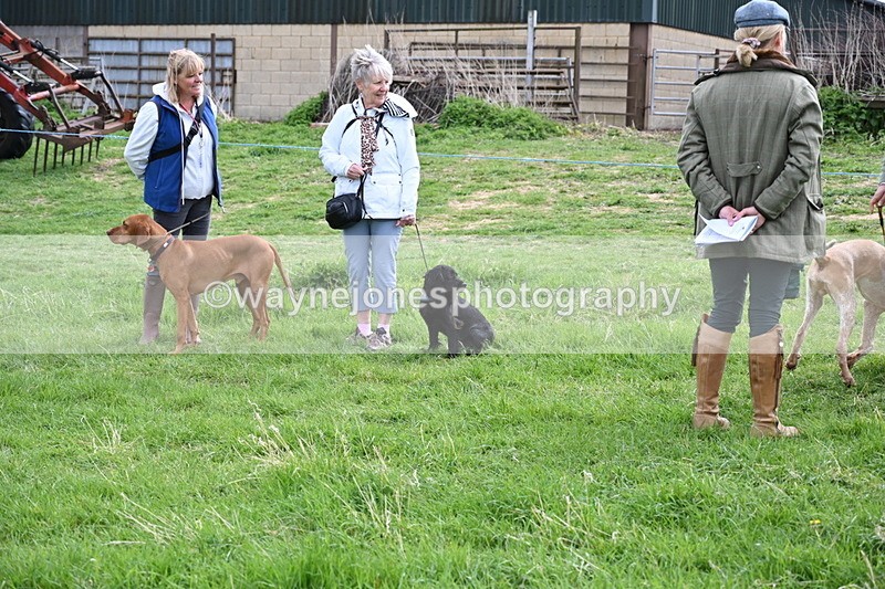 WJ6_8063 - Class 2 Best Pedigree