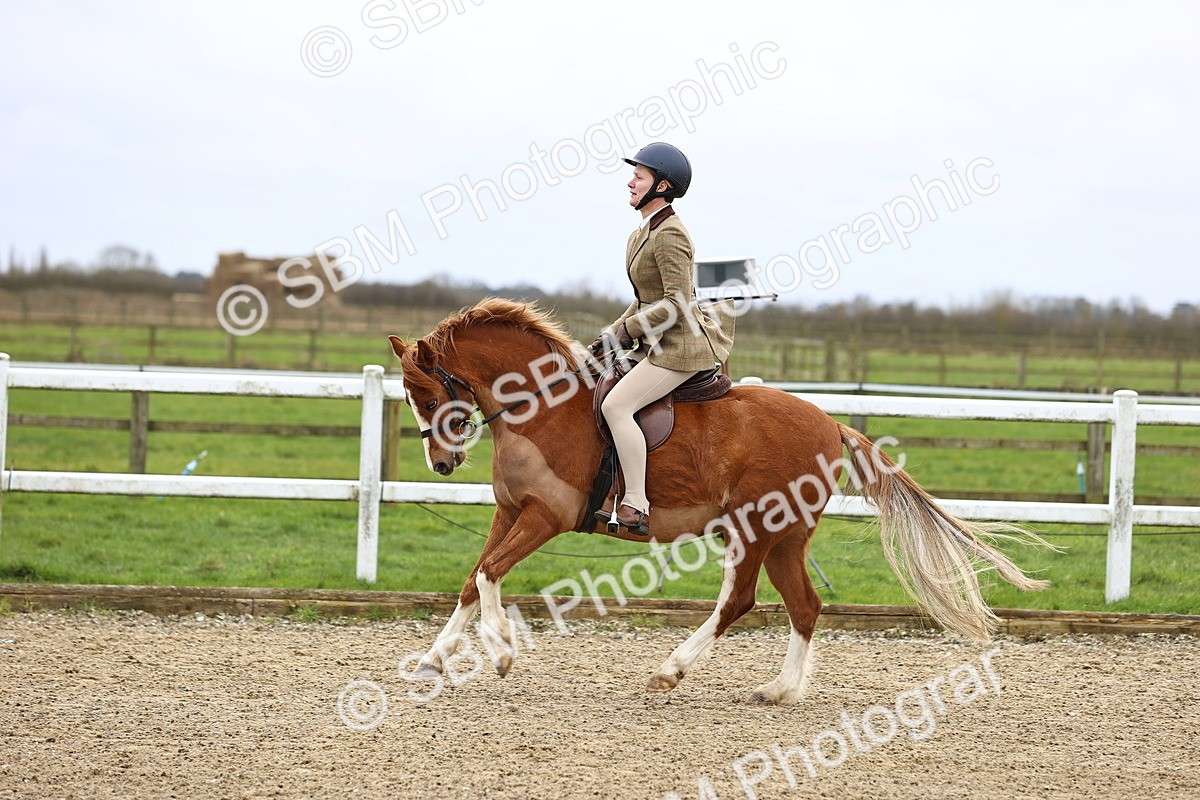 SBM_006783 - Class 29 - 30 - M&M Pure Novice Small-Large Breeds
