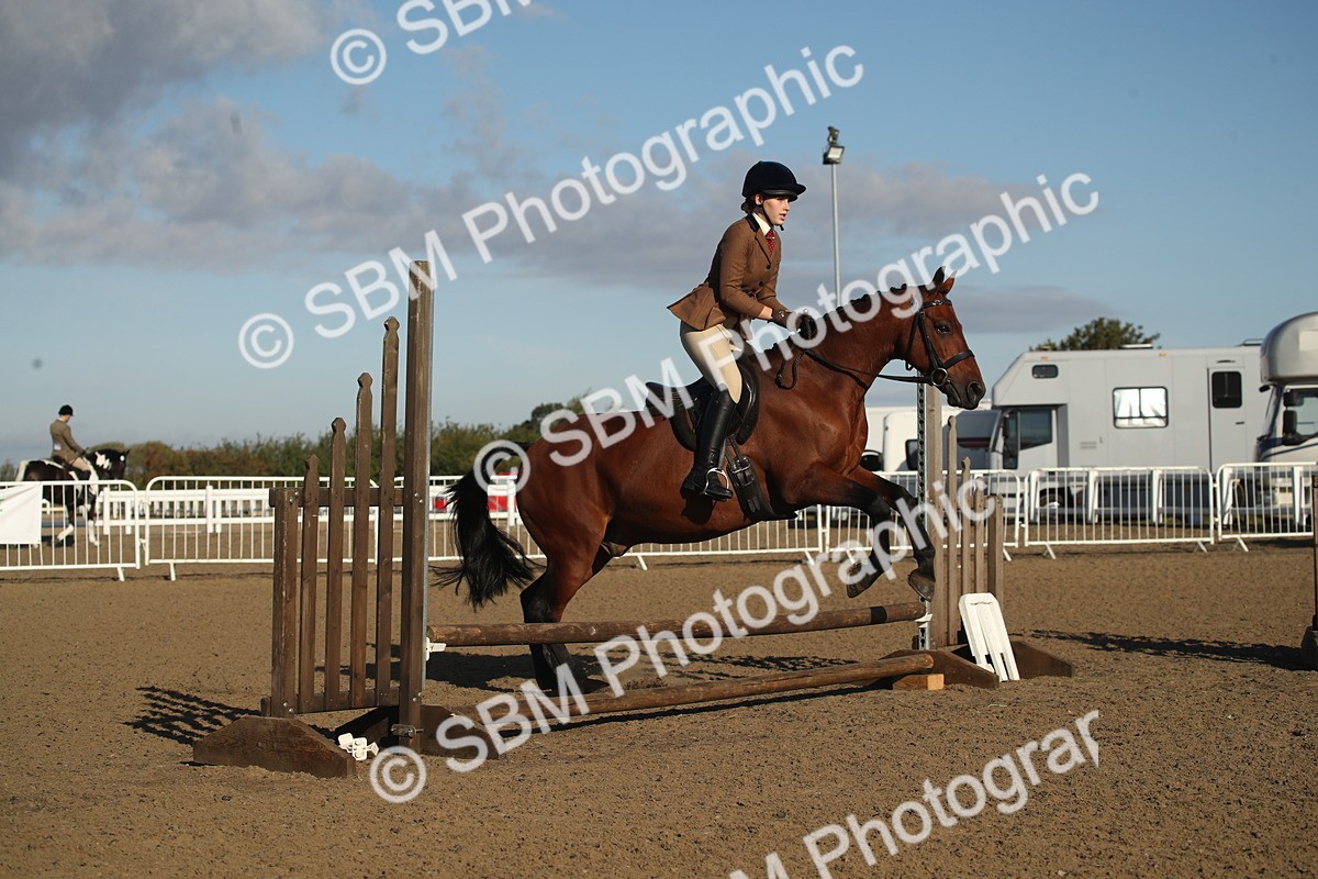 SBM_11573 - Class 502 - Riding Club Horse