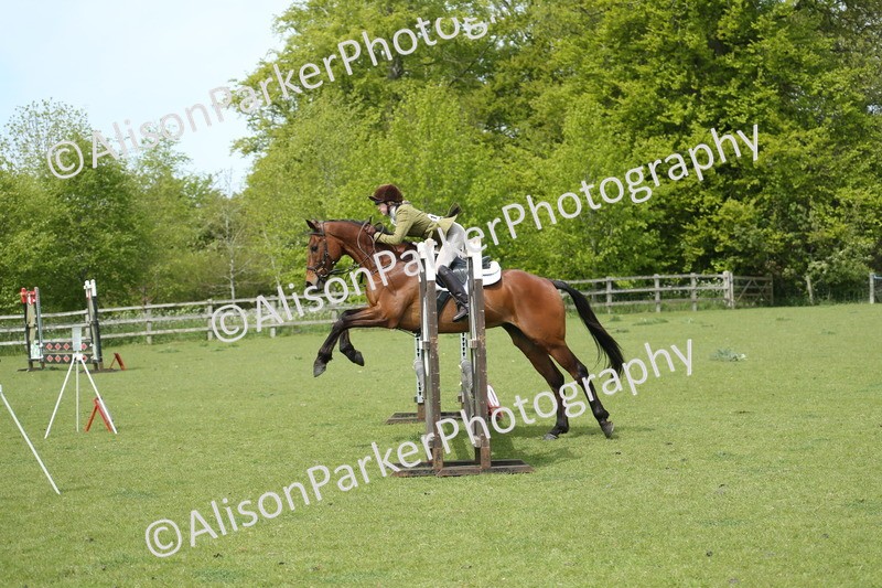 20260426-2042 - Class 15 - Absolute Novice 70cm