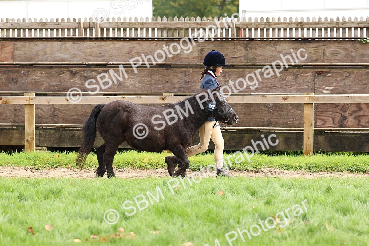 SBM_40726 - S25 -  Veteran In Hand