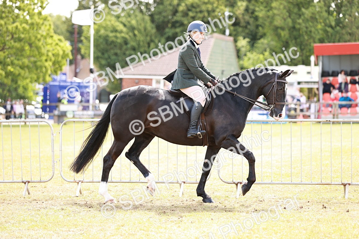 SBM_14518 - Class 88-89 - LIHS BSHA Rising Star of Ridden Hunter Type