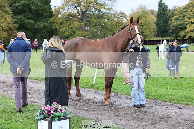 251026A-104125-23192 - F-460-Rueben.Kennah