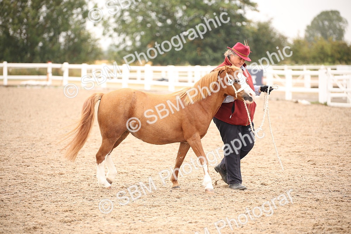 SBM_22160 - Class 707 - Ridden Groom-Helpers Class