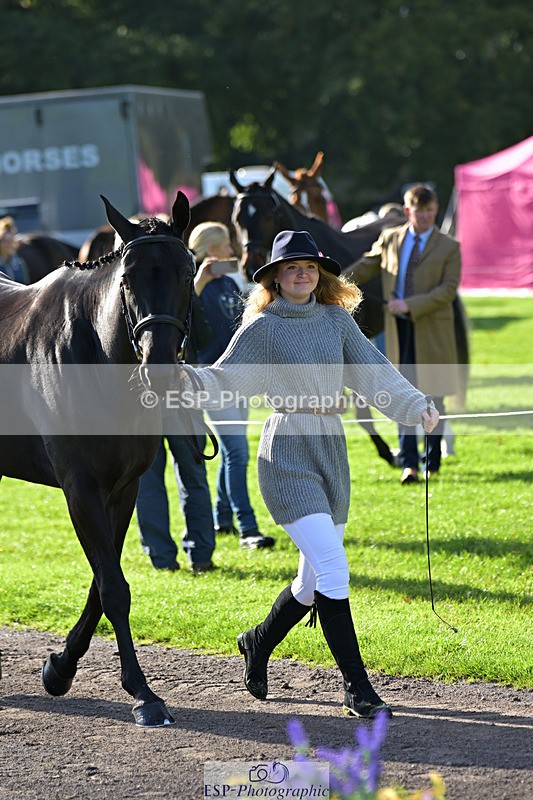 241023-130136-00027 - 002-Ellie.Fredericks-BRITANNIA'S.OLIVE