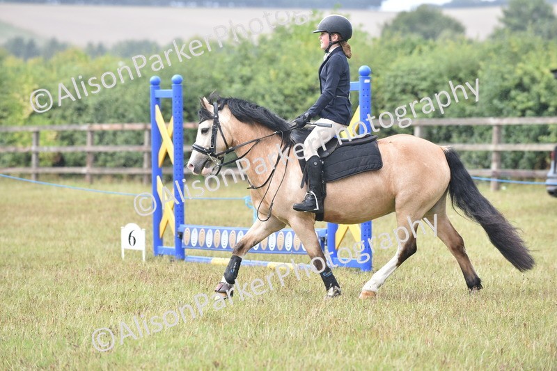 20250831-1885 - Class 9 - Absolute Novice 45cm