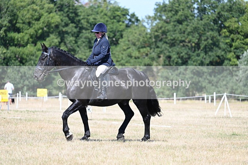 WJ7_9940 - Time 11:03 to 11:28