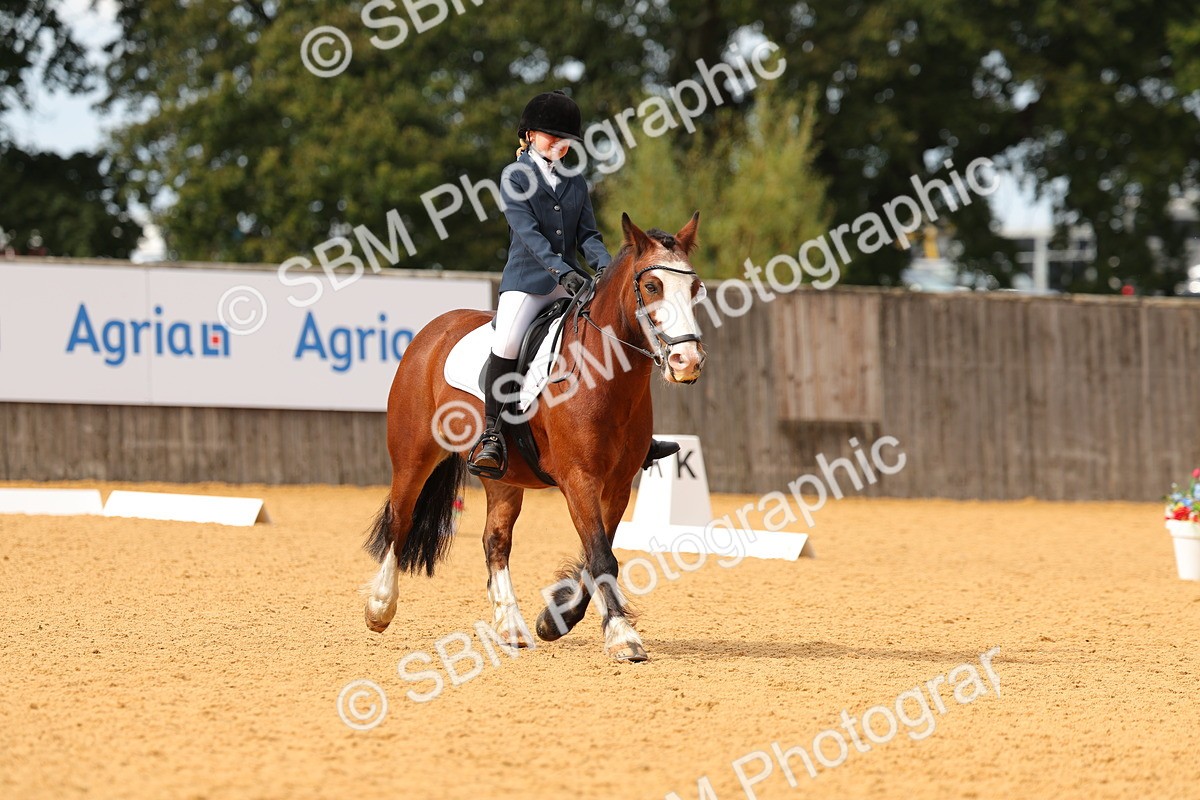 SBM_48142 - D22 - Junior Championship - Intro B