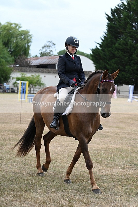 WJ7_0779 - Class 7 Riding Club Show Horse