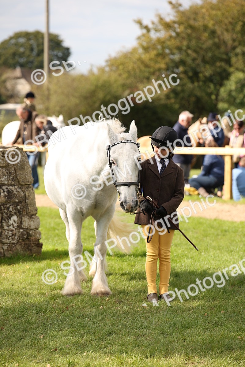 SBM_46408 - S25 - Mature Veteran In Hand