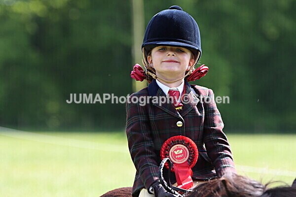 IMG_4906 - Working Hunter