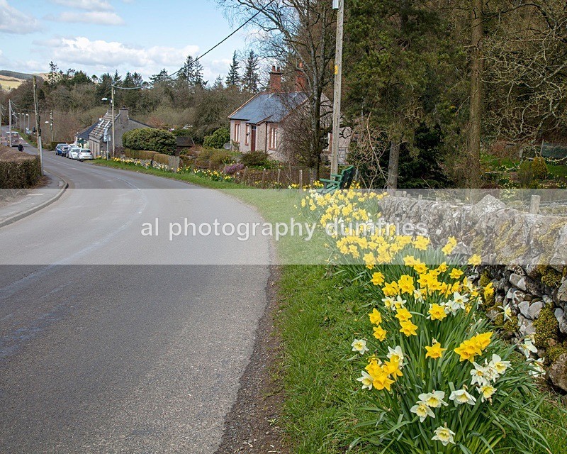_MC_2651 - Landscape