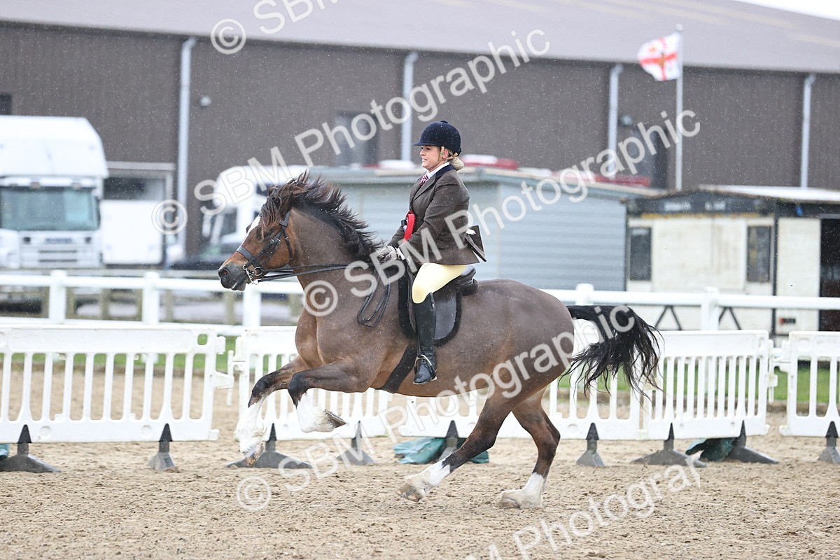 SBM_008485 - Class 33-34 - M&M Open Ridden Small-Large