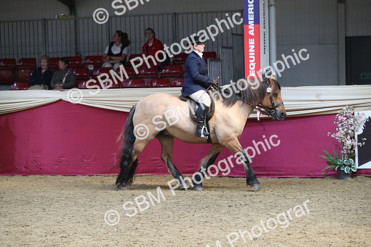 SBM_16310 - Class 502 M&M Ridden Supreme Final