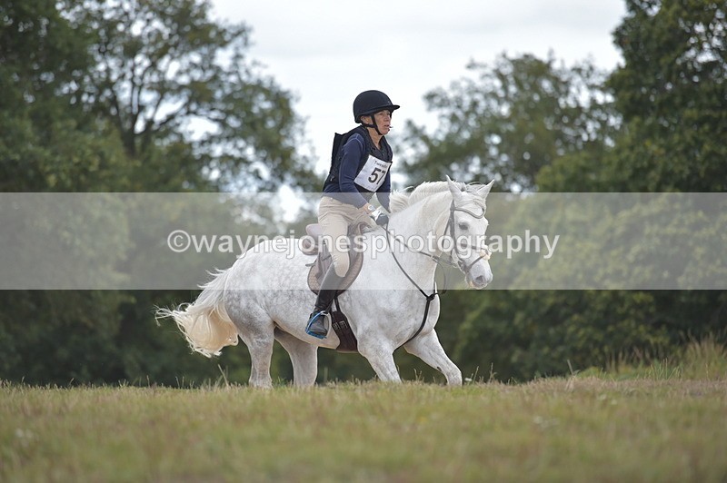 NGP_2223 - XC Time 11:20 to 11:36