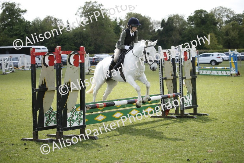 20250427-3765 - Class 14 - Absolute Novice 70cm