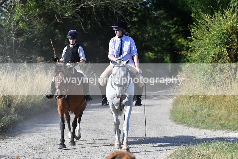 WJ5_4818 - Walk out with the hounds