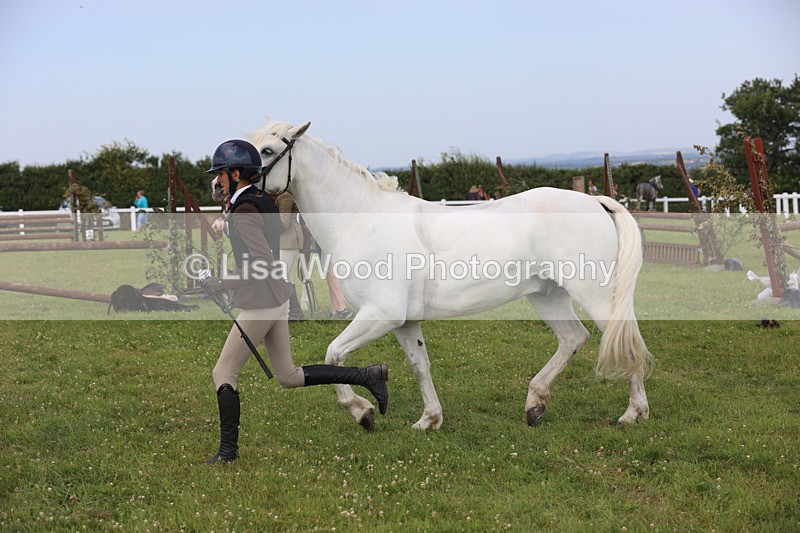 JPP_3924 - Class 23: Working Hunter 80cm