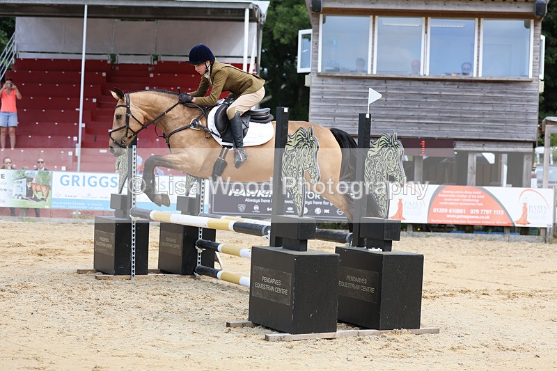 3E7A3392 - Class 4: Senior British Novice/90cm open