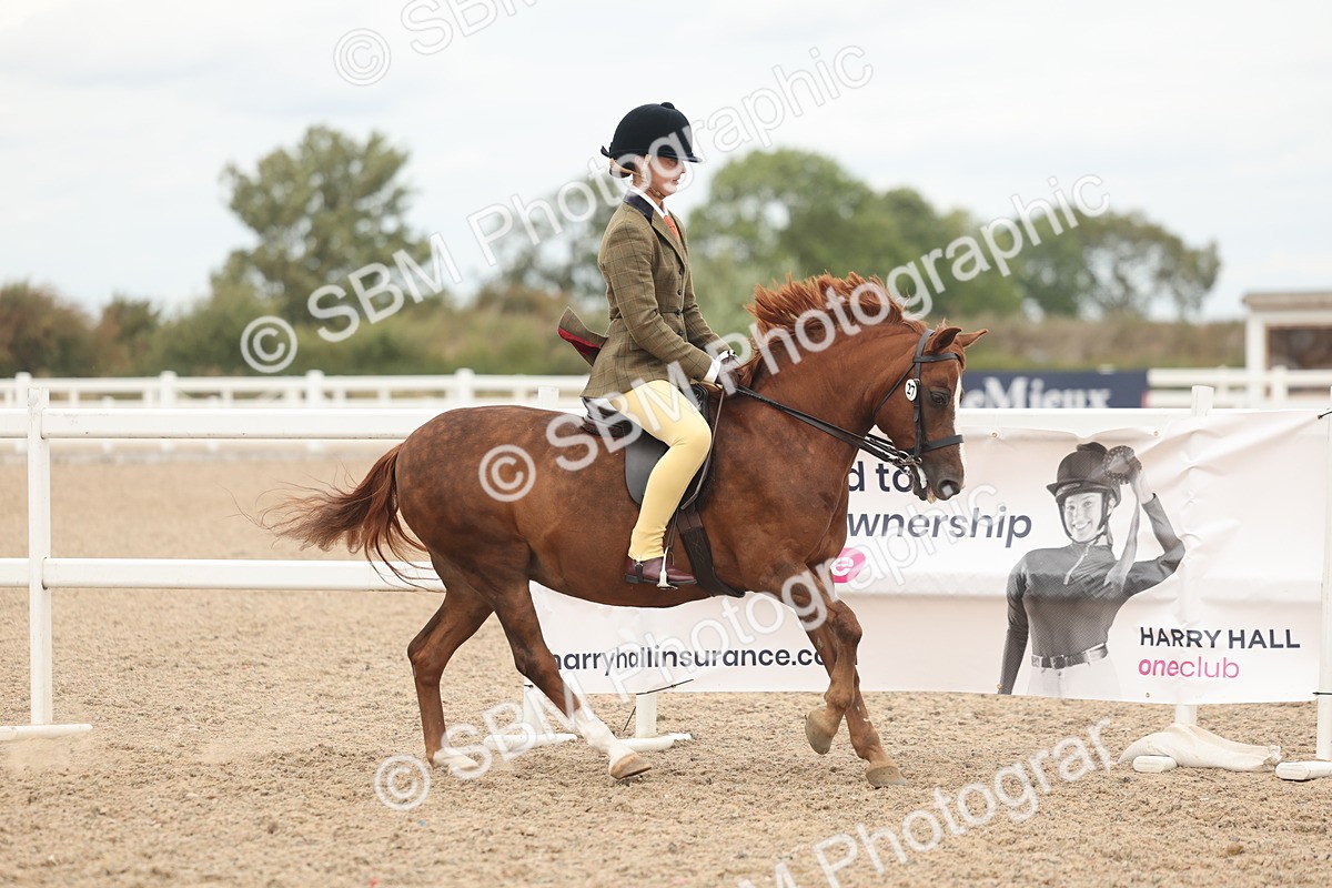 SBM_19129 - Class 316 - Best Pony-Rider Combination