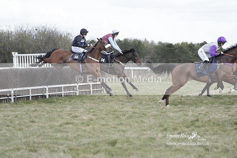 PtP 260223 428 - South & West Wilts Point-to-Point Larkhill 26/02/23