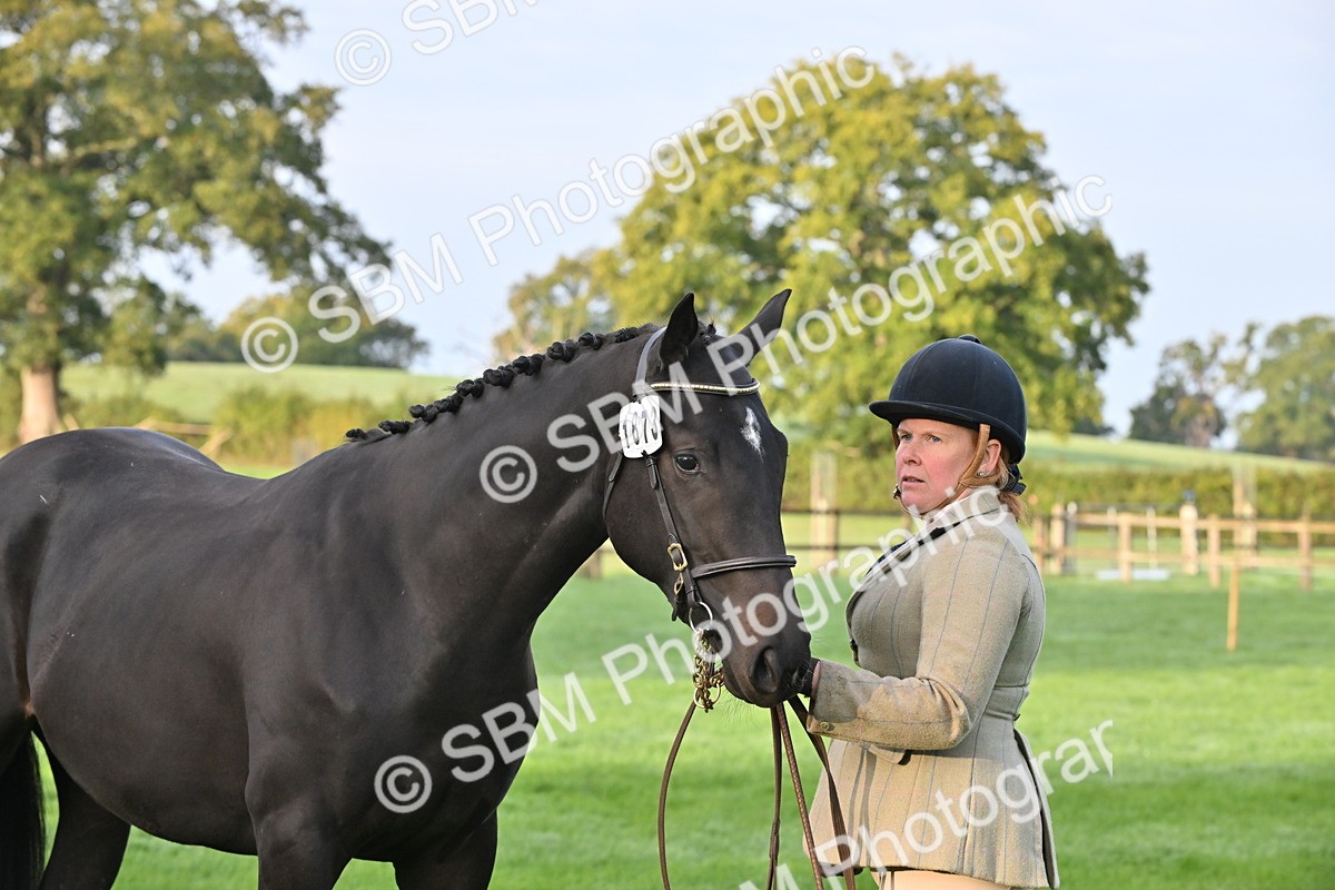 SBM_54618 - S44 - Youngstock In Hand