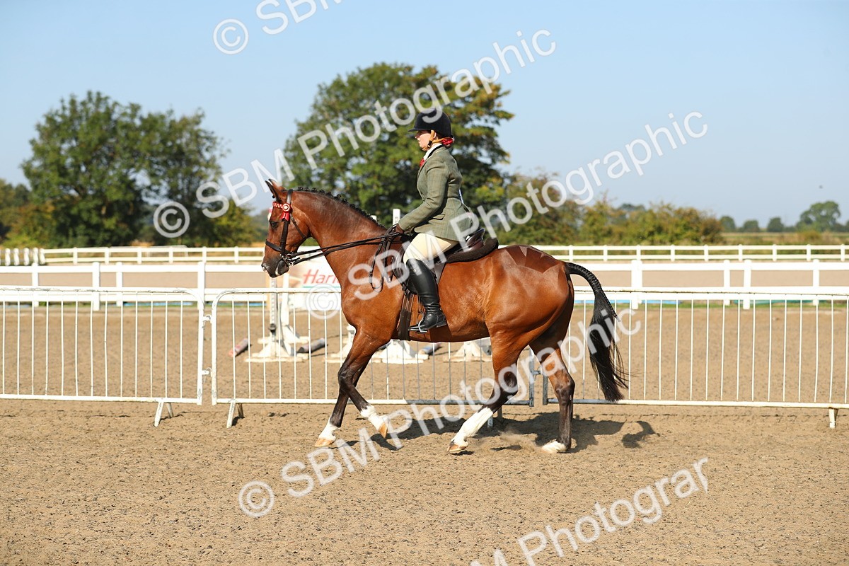 SBM_01214 - Class 42 Ridden Veteran