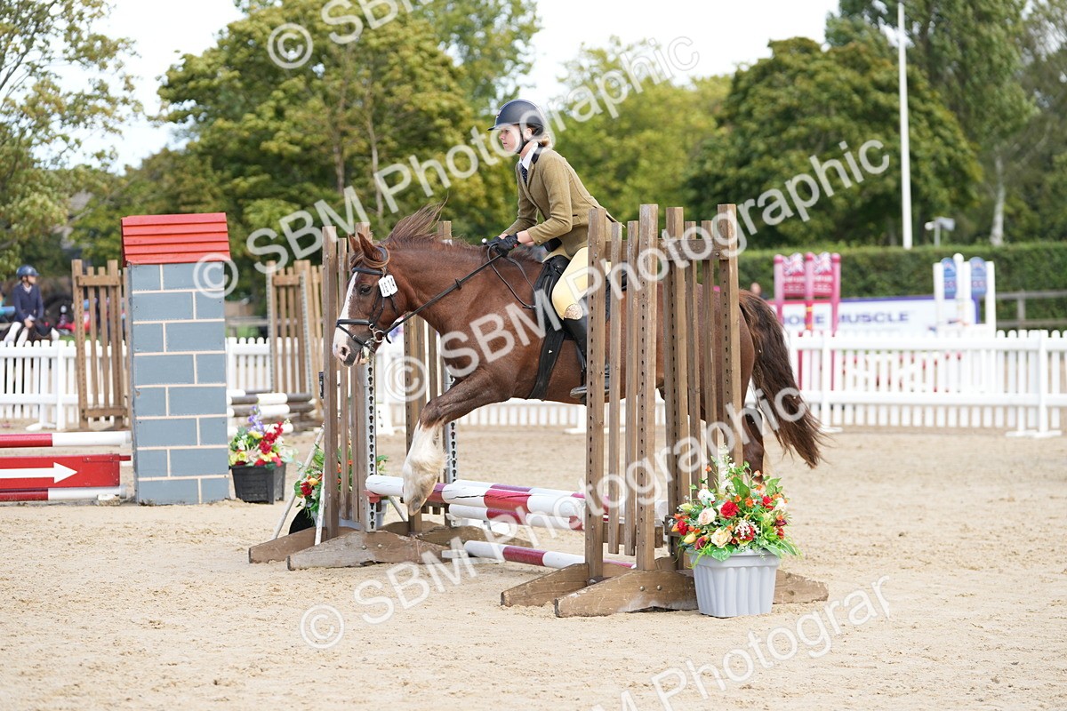 SBM_21299 - J49 - Open 50cm