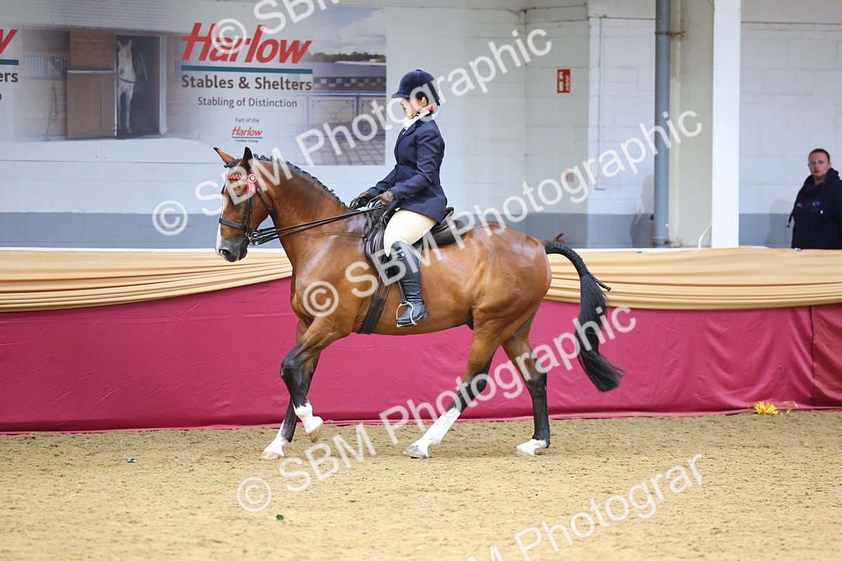 SBM_23757 - Class 904 - Supreme Final Ridden Diamond