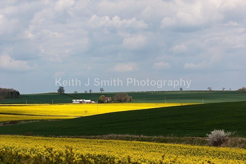 YR6M4838 - United Kindom