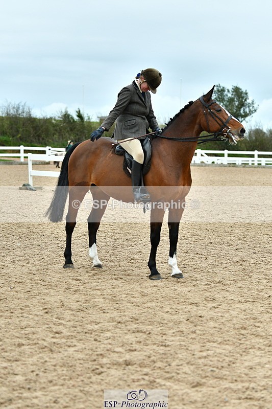 230416A-143438-05270 - Cls 74 Warmblood