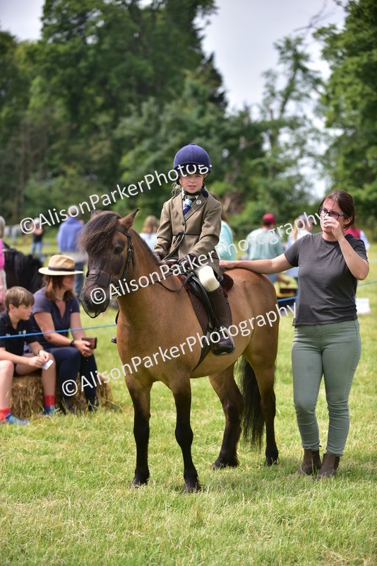 20260614-4013 - Class 16 - Handsome Gelding