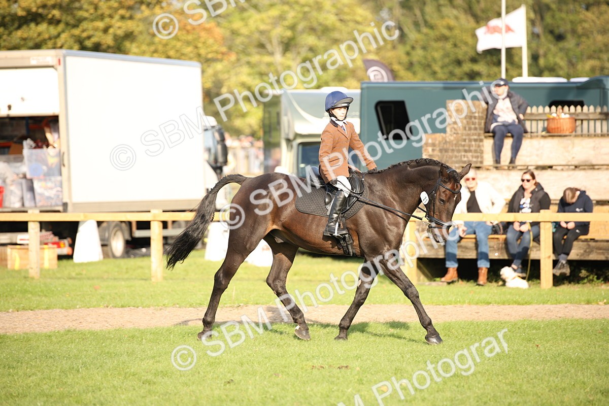 SBM_54301 - S27 - Mature Veteran - Ridden