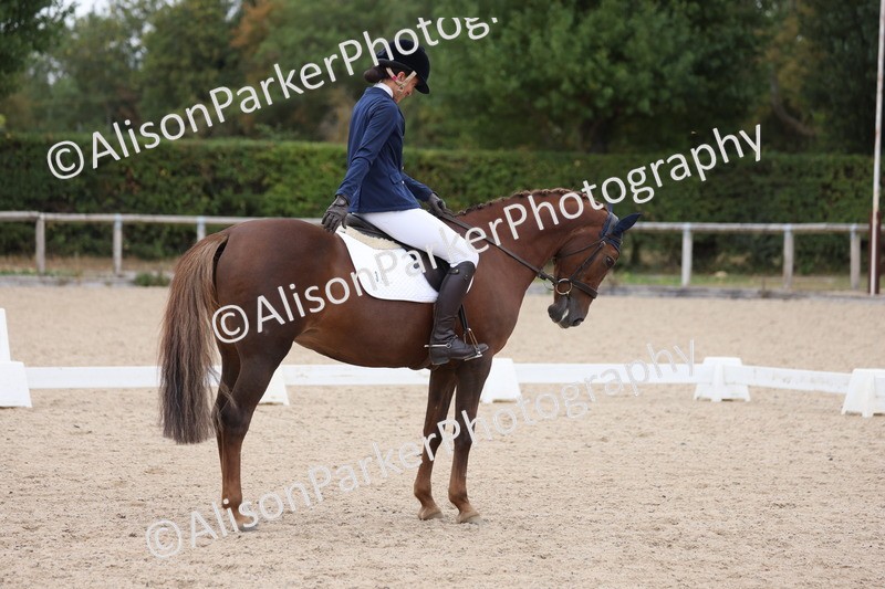 20250820-1136 - Class 17 - Elementary 4